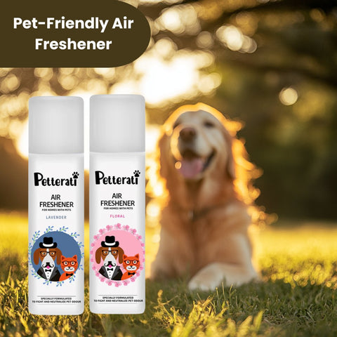 Pet Friendly Air Fresheners