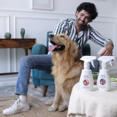 Best pet sanitizer for homes with pets