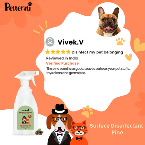 Petterati Surface Disinfectant for removing pee odour and mess, cleaning pet toys - Pine (500 ML)