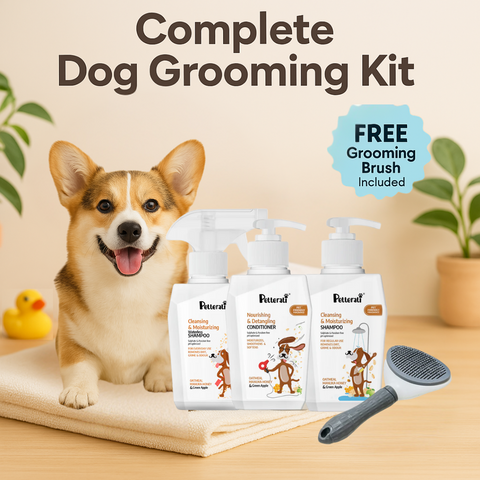 Dog grooming kit
