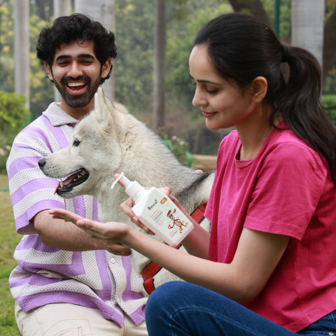 best dog care shampoo