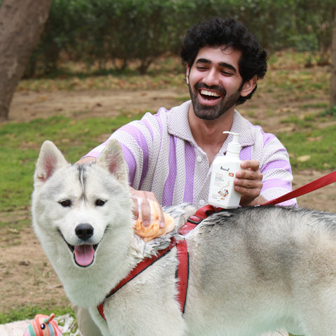 Dandruff and itch control dog shampoo