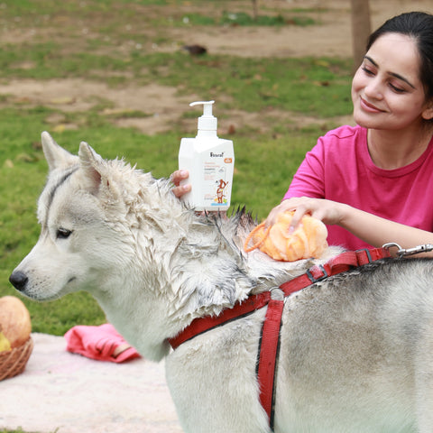 Cleansing and moisturizing dog shampoo with oatmeal and manuka honey