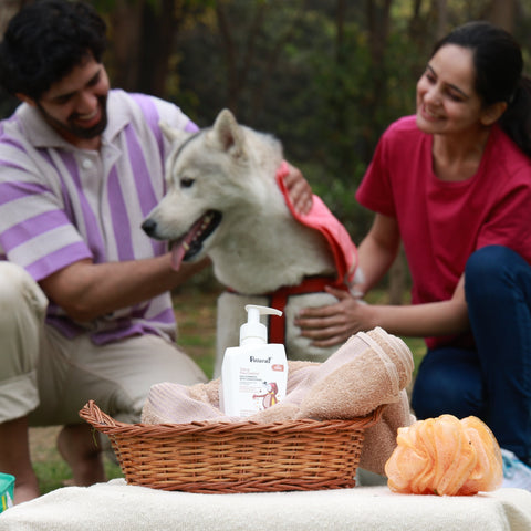 Tick and flea dog shampoo with conditioner