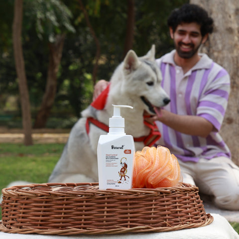 Shed control dog shampoo