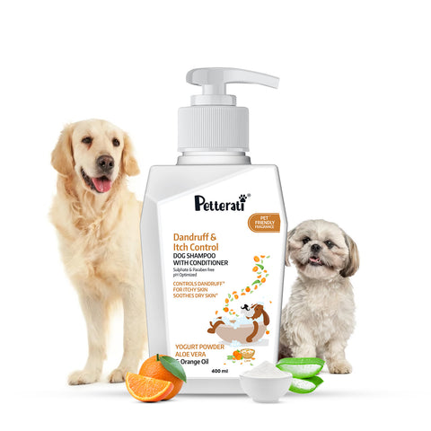 Dandruff and itch control shampoo with yogurt powder and aloe vera
