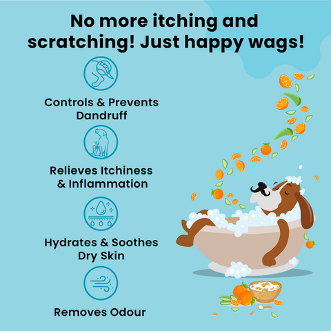 Dandruff & itch control dog shampoo benefits