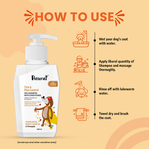 Steps to use tick and flea dog shampoo
