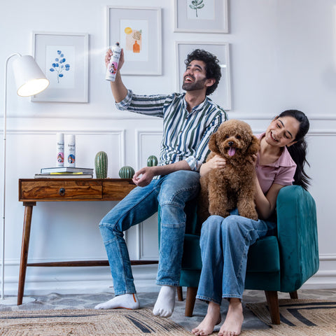 best air freshener for homes with pets