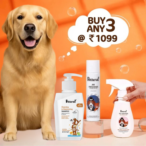 Buy Any 3 @Rs.1099