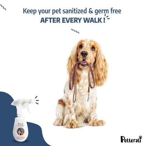 Pet Sanitizer Lavender usecase