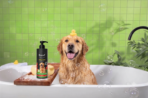 Odor-neutralizing vs scent-masking dog shampoo comparison