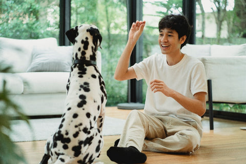 Mastering the Art of Dog Training: Simple Tricks for Your Furry Friend