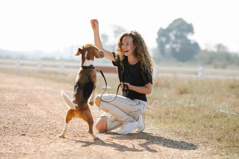 5 Ways Exercise Enhances the Quality of Life for Dogs