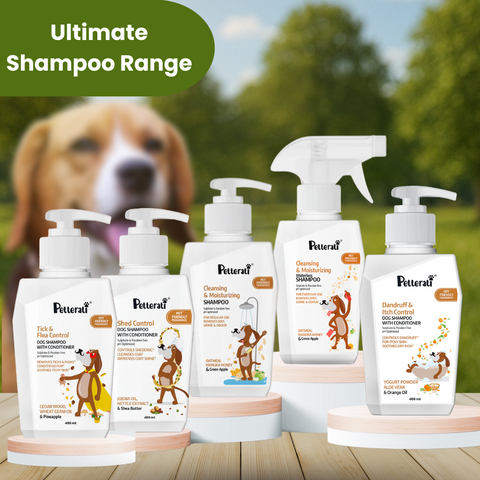 Best Dog Shampoo | Paraben & Sulphate Free