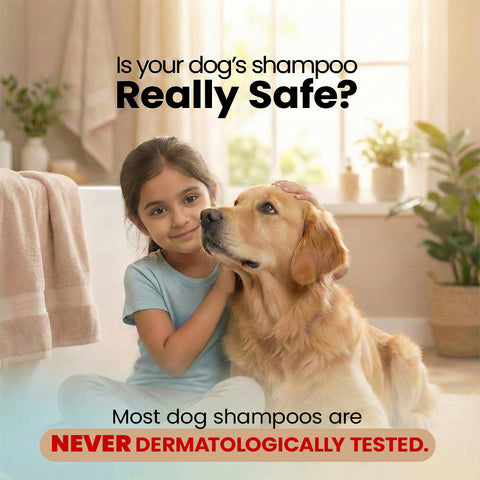 Petterati Silky Coat Dog Shampoo | Healthy, Shiny & Silky Fur | Malodour Neutraliser | Pet-Friendly Fragrance | 200ml + 100ml Free