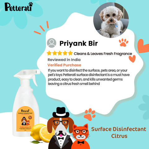 Petterati Surface Disinfectant  Surface Disinfectant for removing pee odour and mess, cleaning pet toys  Citrus (500 ML)