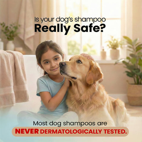 Petterati Tick & Flea Defence Dog Shampoo | With Goodness of Papaya, Tulsi, Chamomile |  Shampoo + Conditioner 1000ml Dermatologically Tested with Malodour Neutraliser and Pet Friendly Fragrance