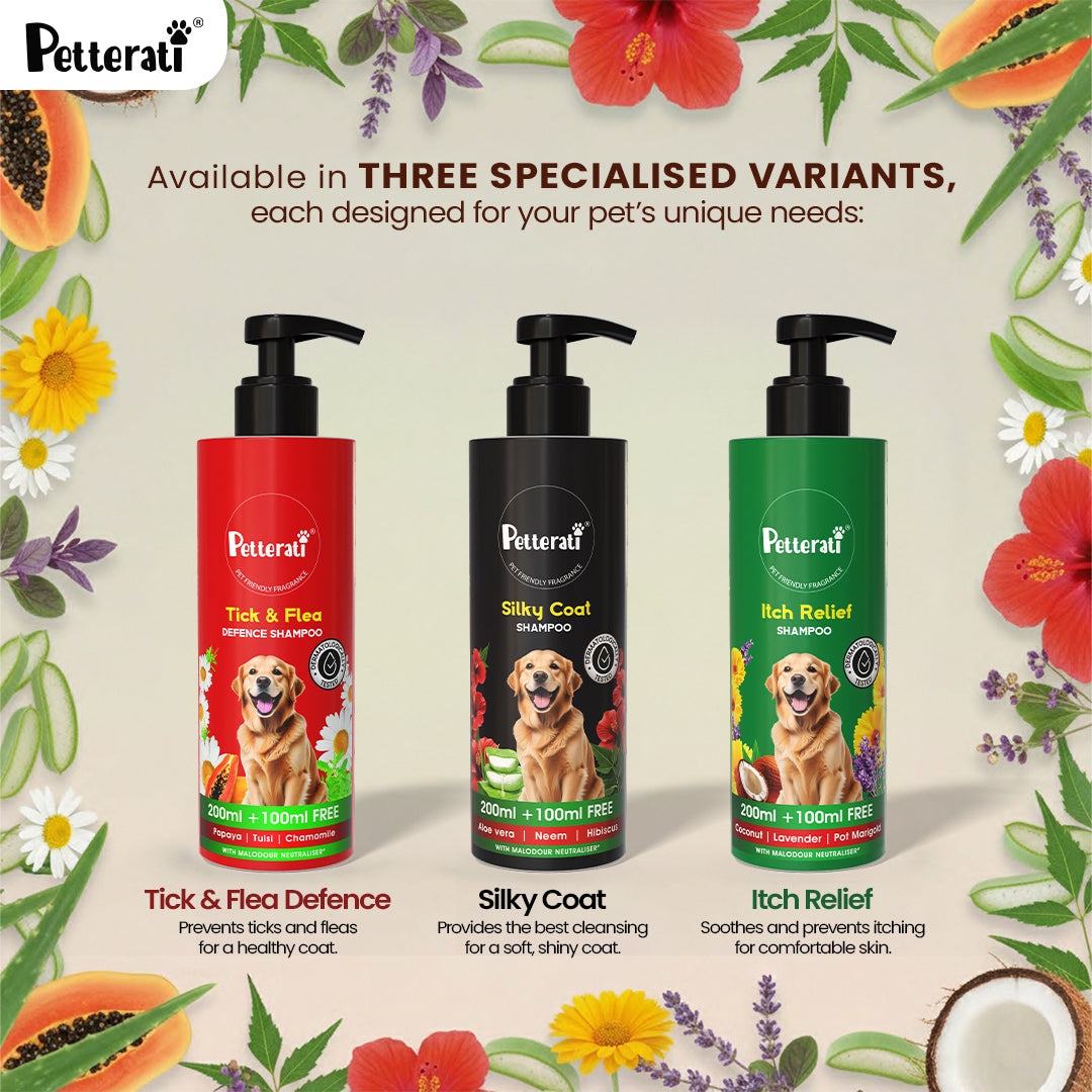 Silky Coat Dog Shampoo 200ml + 100ml Free | Petterati – Petterati.com