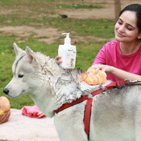 Petterati Cleansing & Moisturizing Dog Shampoo with Oatmeal and Manuka Honey-400 ml
