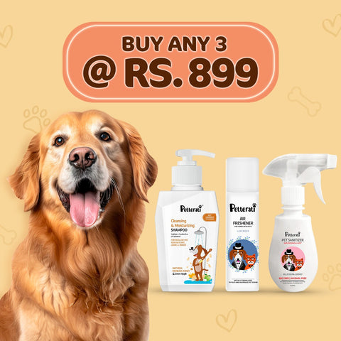 Buy Any 3 @Rs.899