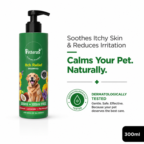 Best Itch Relief Shampoo for Dogs – Soothes Itchy & Sensitive Skin (200ml + 100ml FREE) | Malodour Neutraliser | pH Optimized
