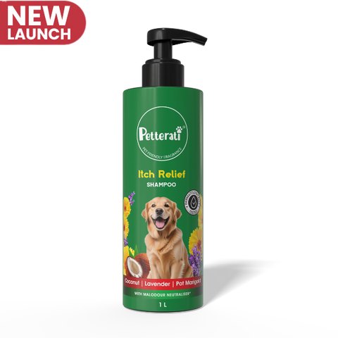 Petterati Itch Relief Dog Shampoo | With Goodness of Coconut, Lavender, Pot Marigold | Shampoo + Conditioner 1000ml Dermatologically Tested with Malodour Neutraliser and Pet Friendly Fragrance