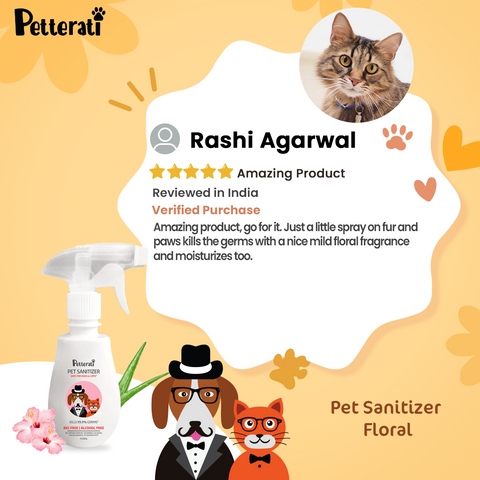 Petterati Pet Sanitizer for Cleaning Paws, Coat - Floral (250 ML)