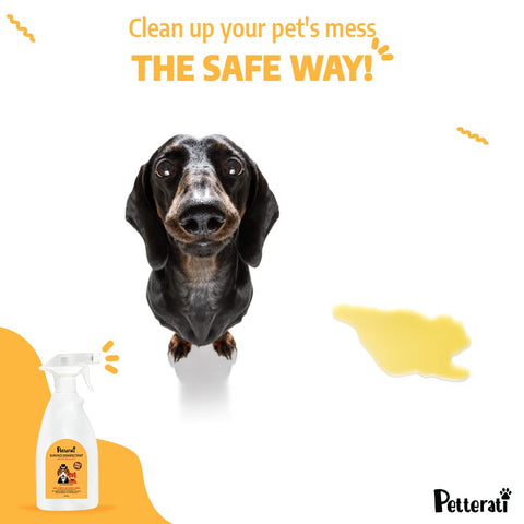 Petterati Surface Disinfectant  Surface Disinfectant for removing pee odour and mess, cleaning pet toys  Citrus (500 ML)